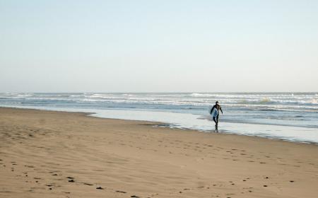 Surfer along the beach